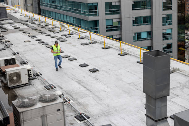 Best Skylight Installation and Repair  in Carter, TX