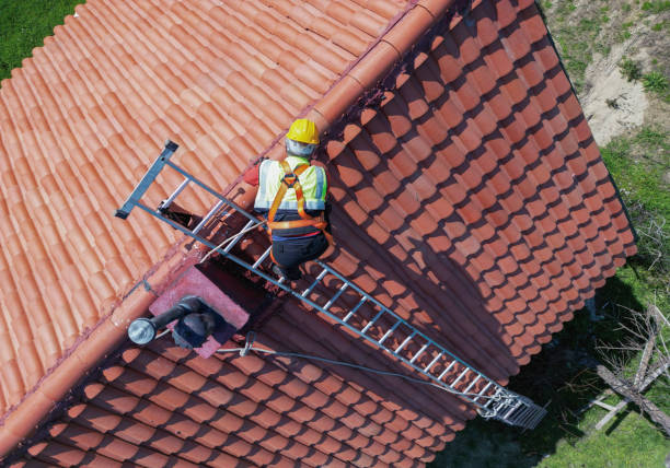 Best Sheet Metal Roofing  in Carter, TX