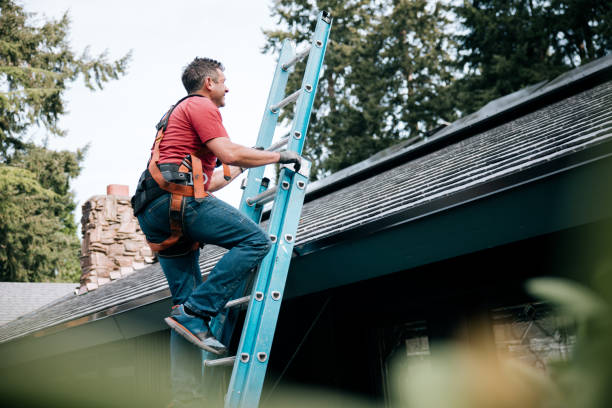 Best Roof Maintenance and Cleaning  in Carter, TX