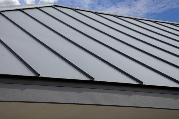 Best Steel Roofing  in Carter, TX